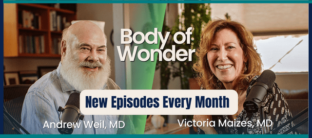 Body of Wonder New Episodes